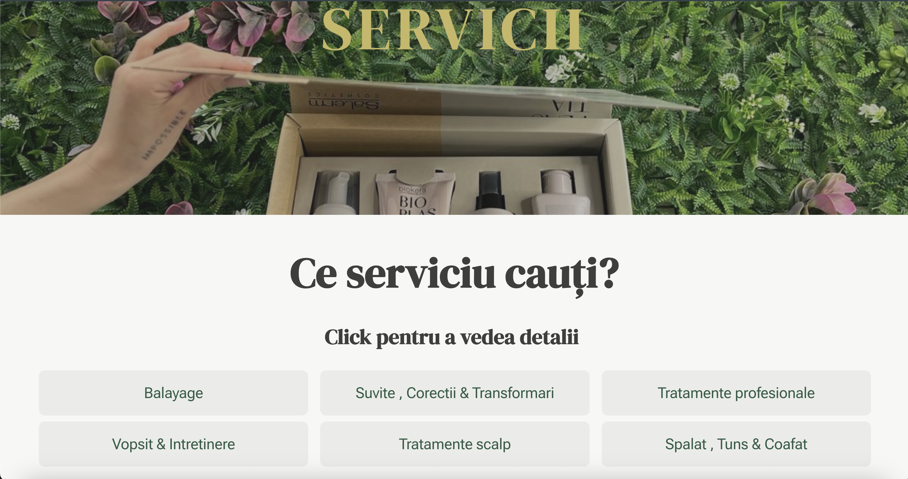 Divisima — Services